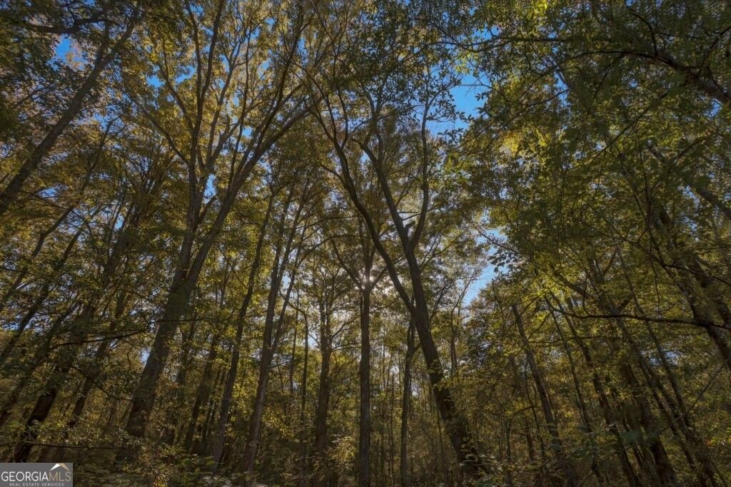 Photo of 3 Scarboro Landing Road, Millen, GA 30442 (MLS # 10786248)