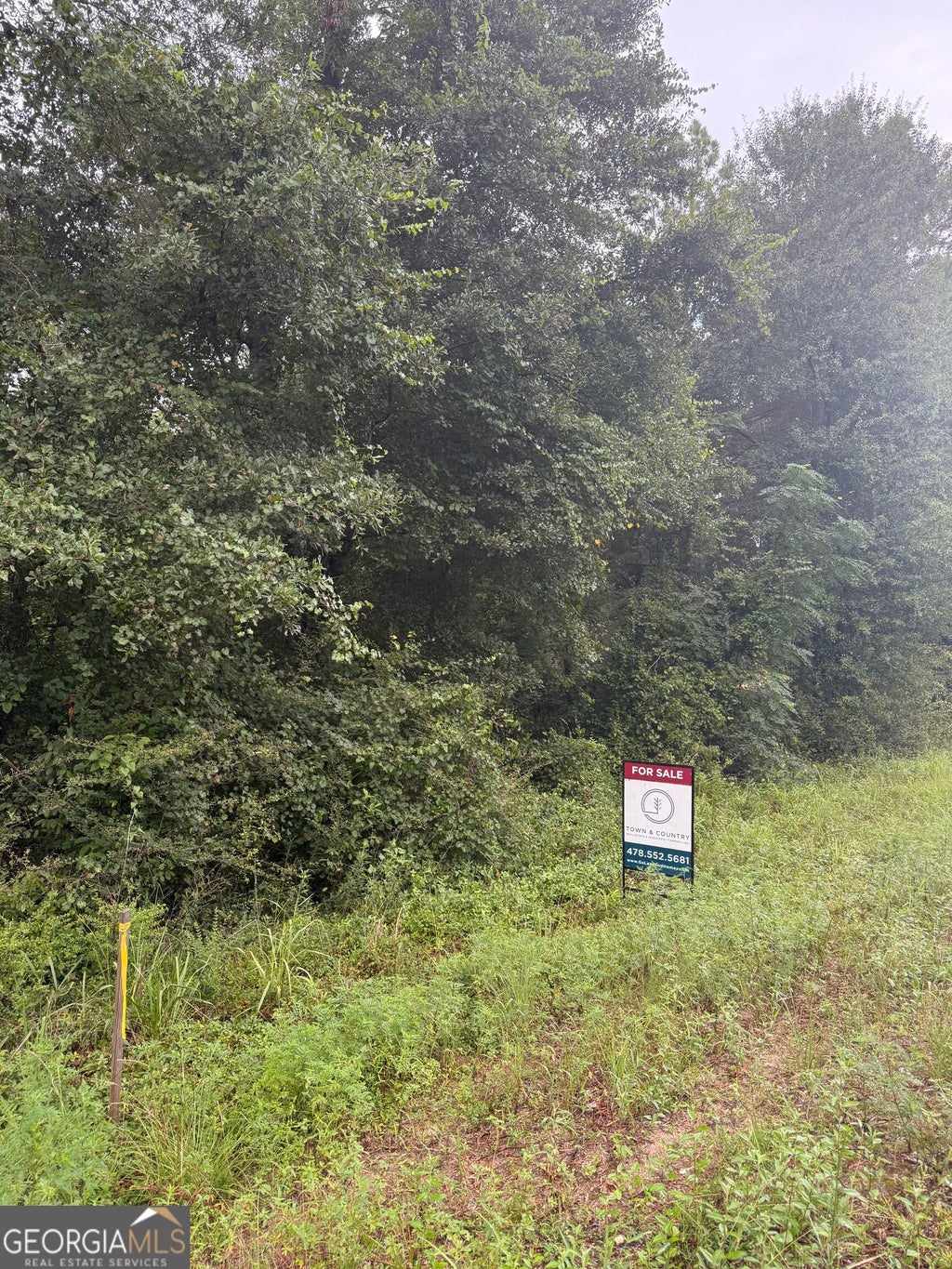 Photo of 1 Harrison Davisboro Road, Davisboro, GA 31018 (MLS # 10800541)