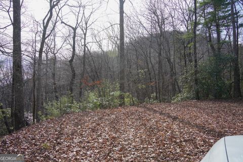 0 High Holly 3HH Tiger GA 30576