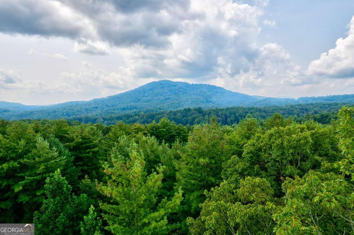 21 Ac Bear Hollow DR