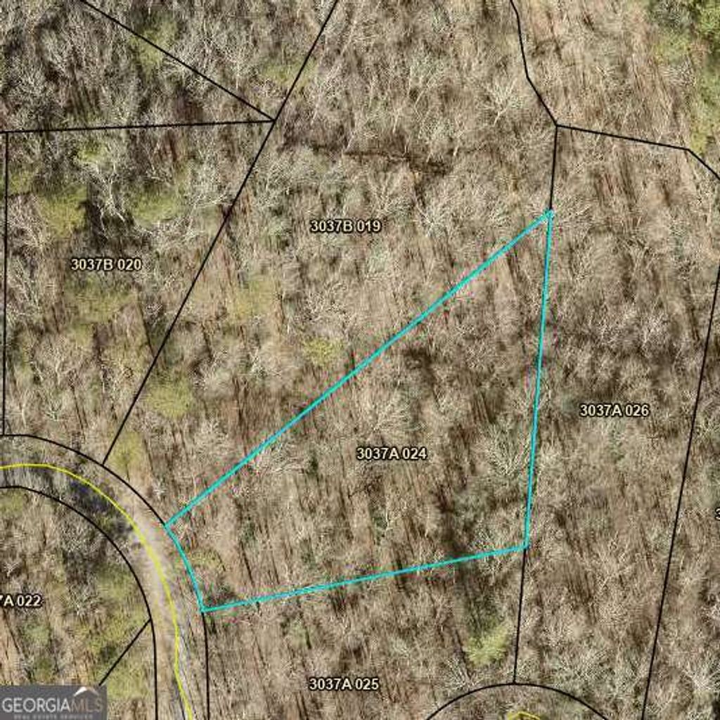 Photo of 0 Catawba Circle, Ellijay, GA 30540 (MLS # 10757313)