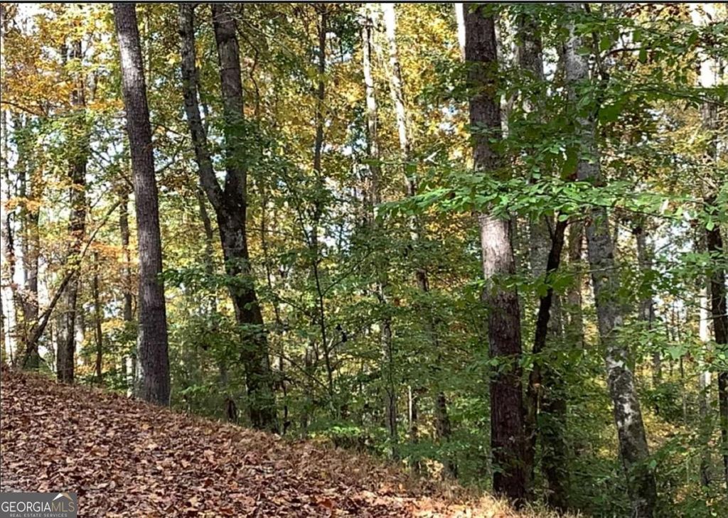 Photo of 0 Catawba Circle, Ellijay, GA 30540 (MLS # 10757313)