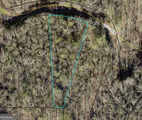 N LAKE DR, ELLIJAY, GA 30536 - Image bd18ba4e53314bcd8e1bd11b7ec904c9/168730488
