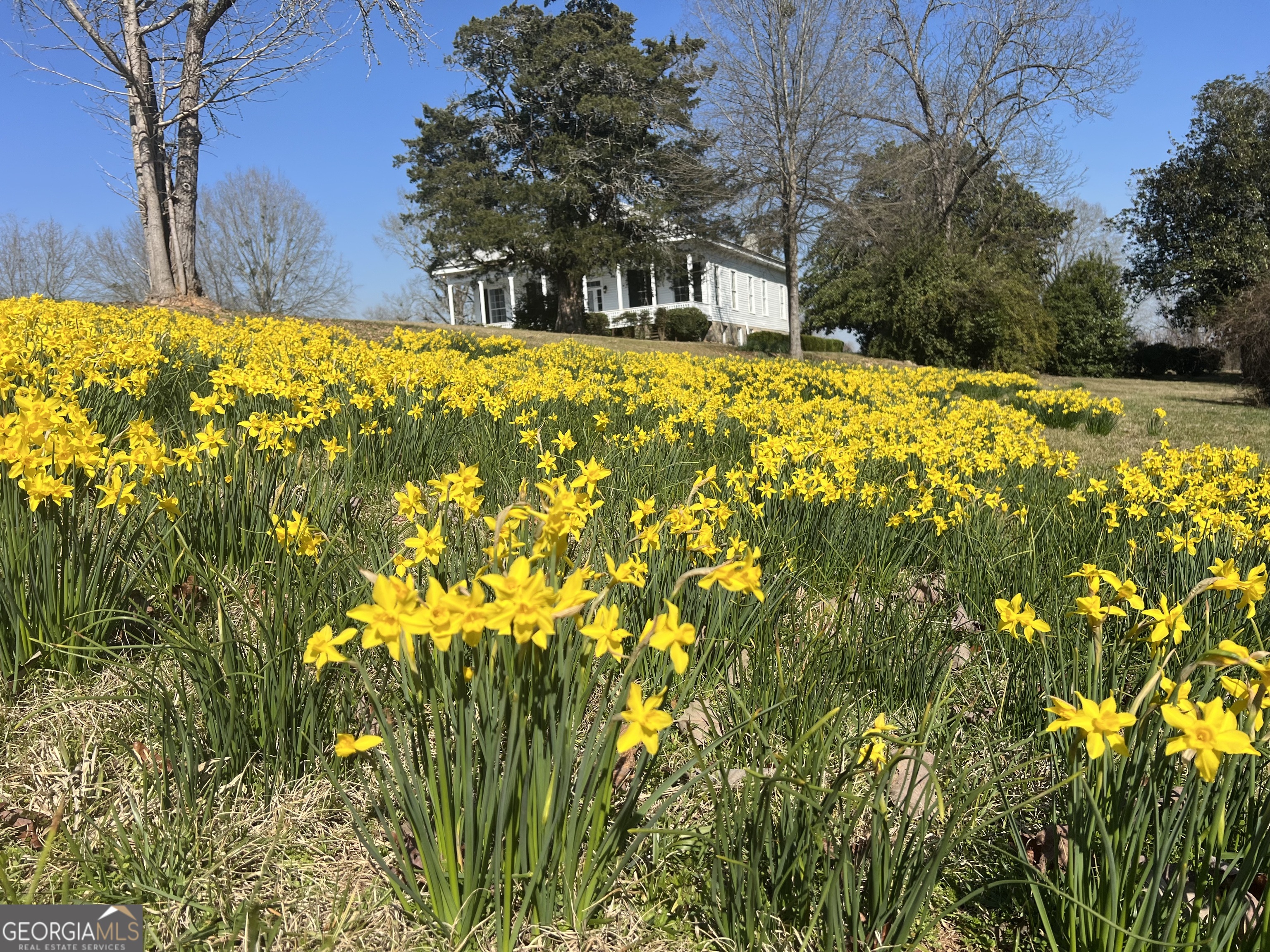 403 Stewart Farm RD