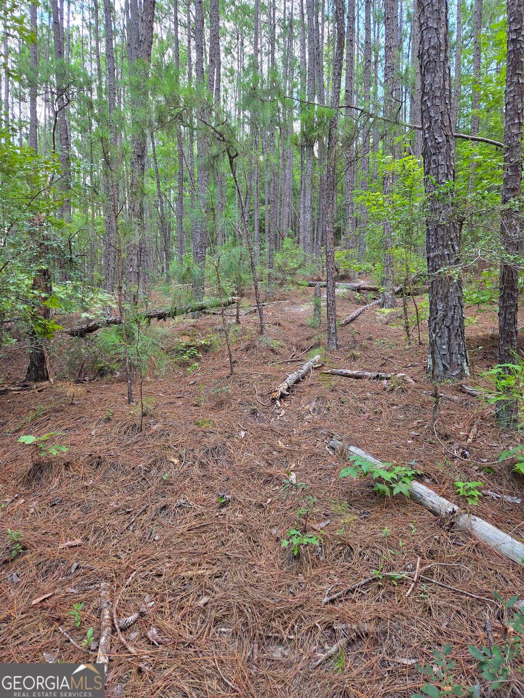 Photo of 3767 Donnan Road, Macon, GA 31217 (MLS # 10820934)