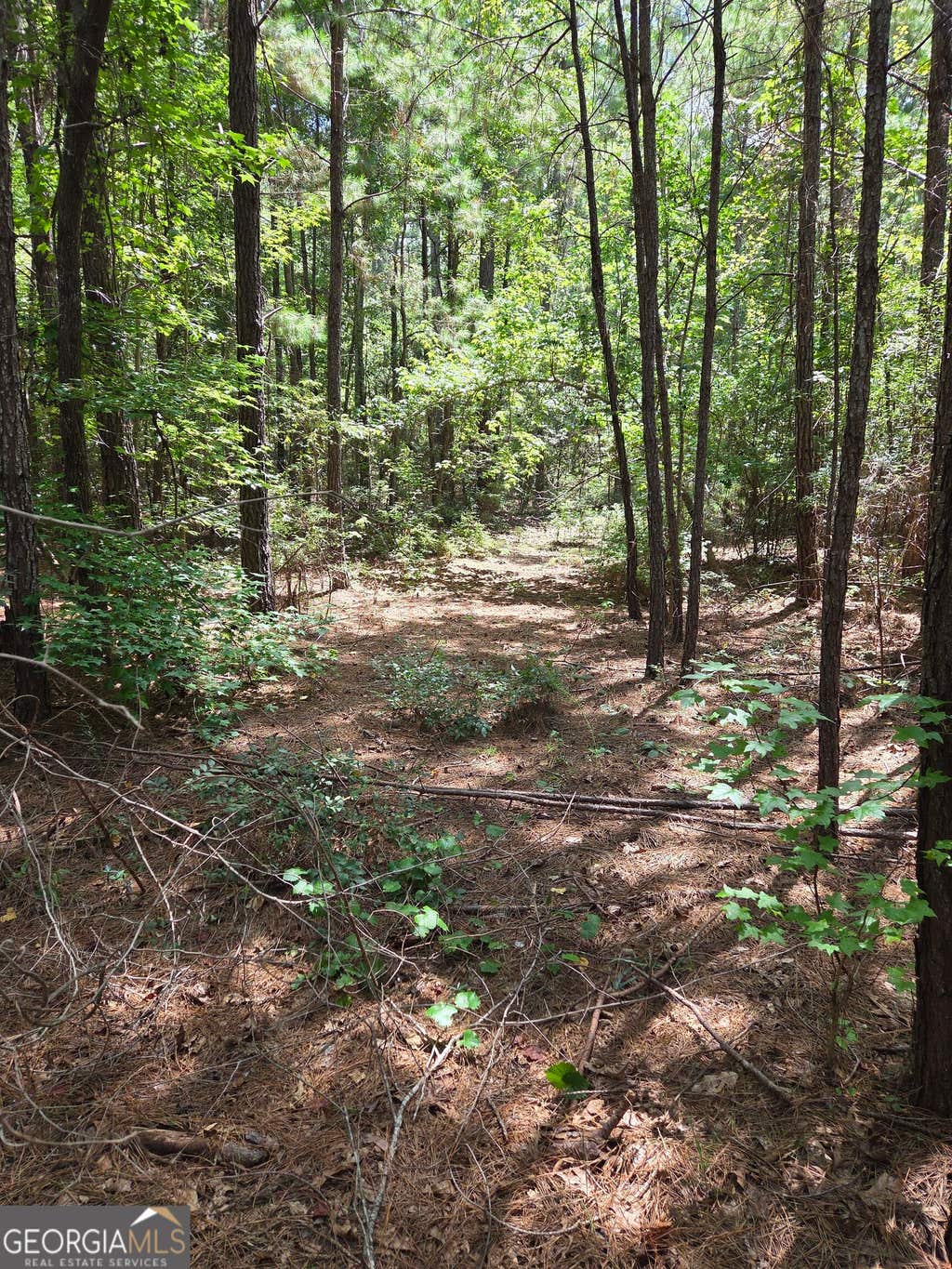 Photo of 3767 Donnan Road, Macon, GA 31217 (MLS # 10820934)