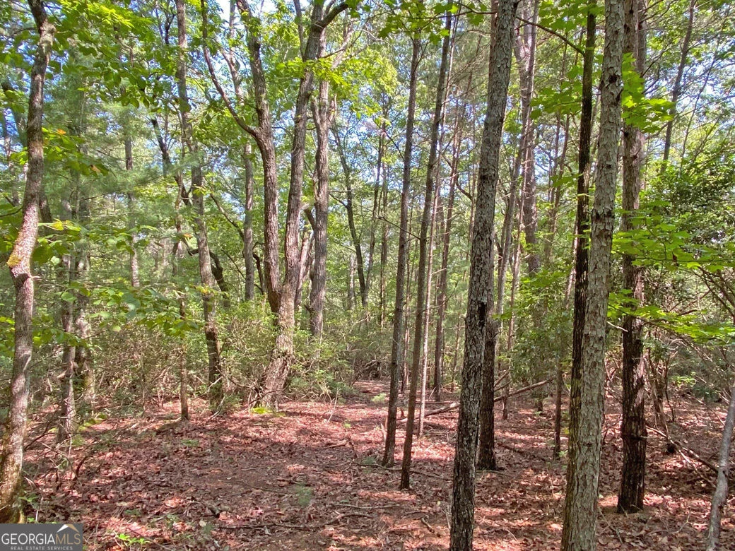 10.59AC T S Jarrard Road
