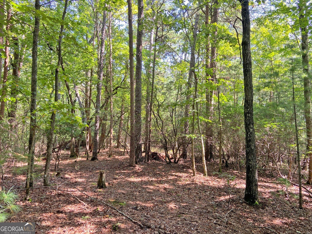 10.59AC T S Jarrard RD