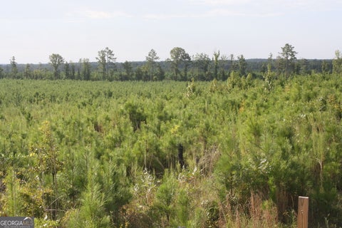 Photo of 0 Balerma Church Road #TRACT 1, Sparta, GA 31087 (MLS # 10833896)