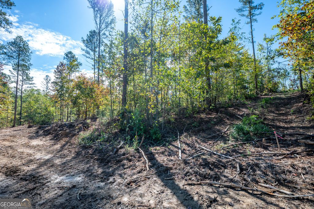 Photo of 3809 HWY 140 NE, Rydal, GA 30171 (MLS # 10632085)