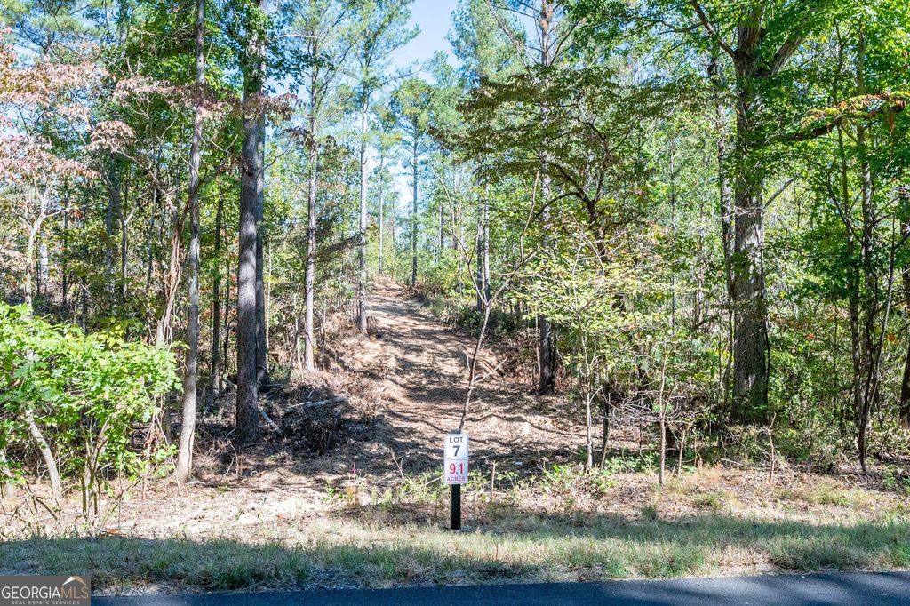 Photo of 3809 HWY 140 NE, Rydal, GA 30171 (MLS # 10632085)