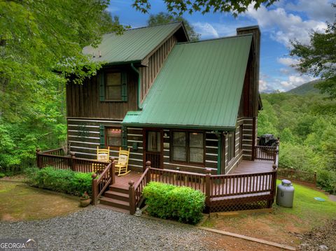 A home in Mineral Bluff