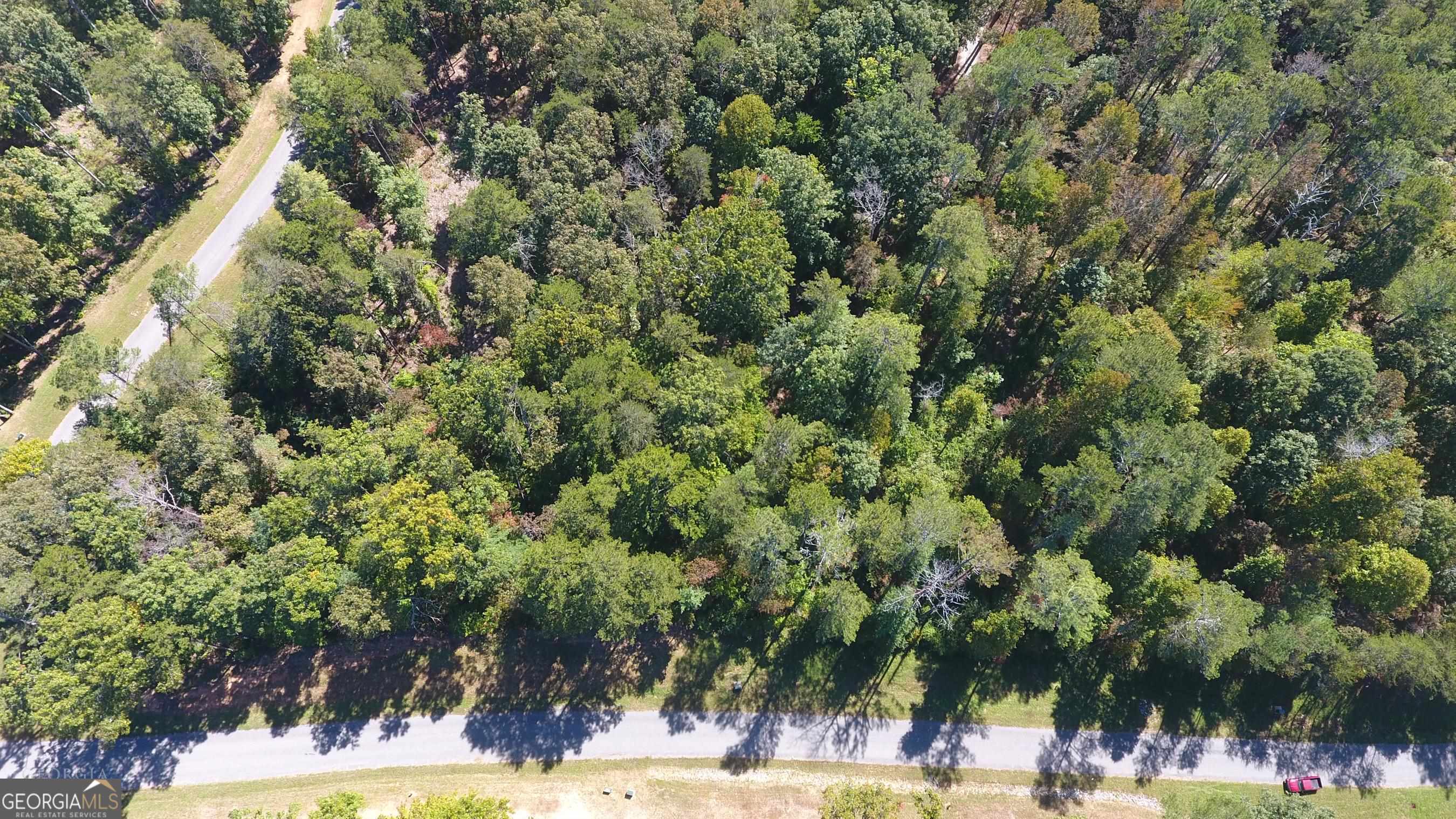 Come build the home of your dreams on this gorgeous 1.11-acre lot located in the up-and-coming High River Subdivision. This gated community has spectacular views of the Blue Ridge Mountains, access to Lake Lecroy, fishing, river access, scenic areas for picnics or enjoying natures peaceful surroundings. The community is supplied with well water, paved roads and a gorgeous Clubhouse for entertaining! Lot#242R is also available.