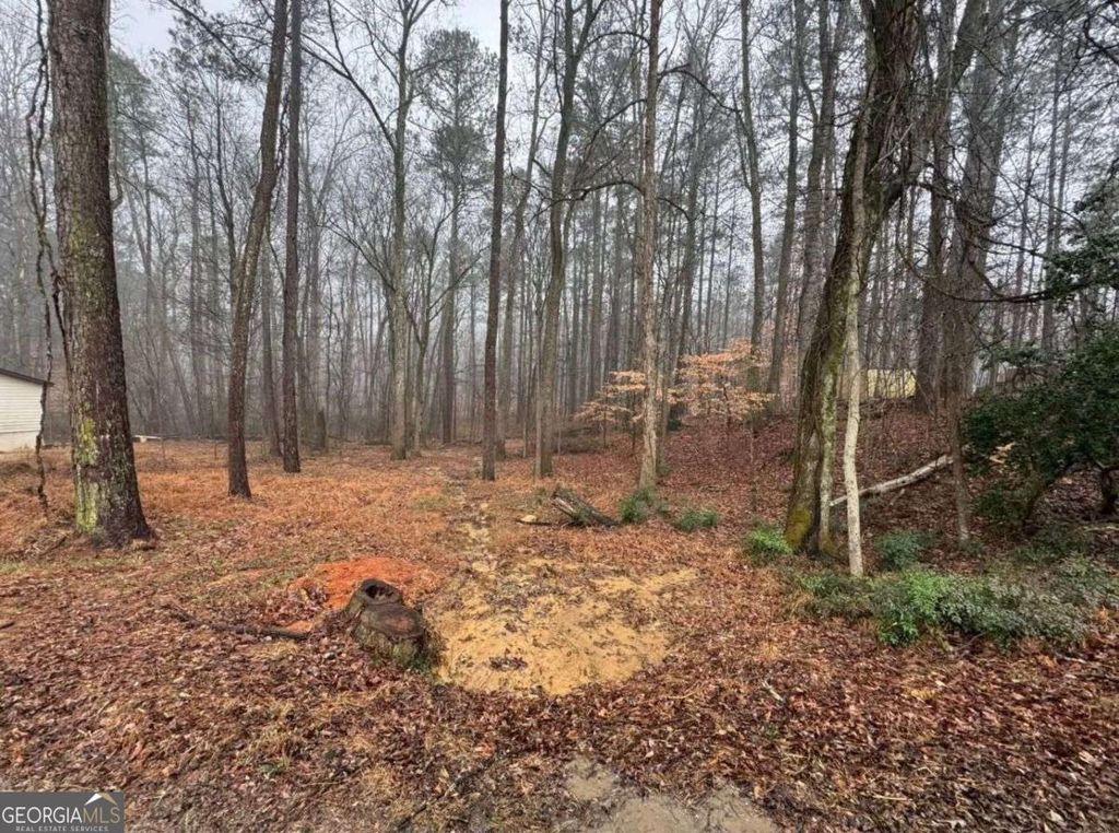 Photo of 138 Oak Beach Drive SE, Acworth, GA 30101 (MLS # 10716208)