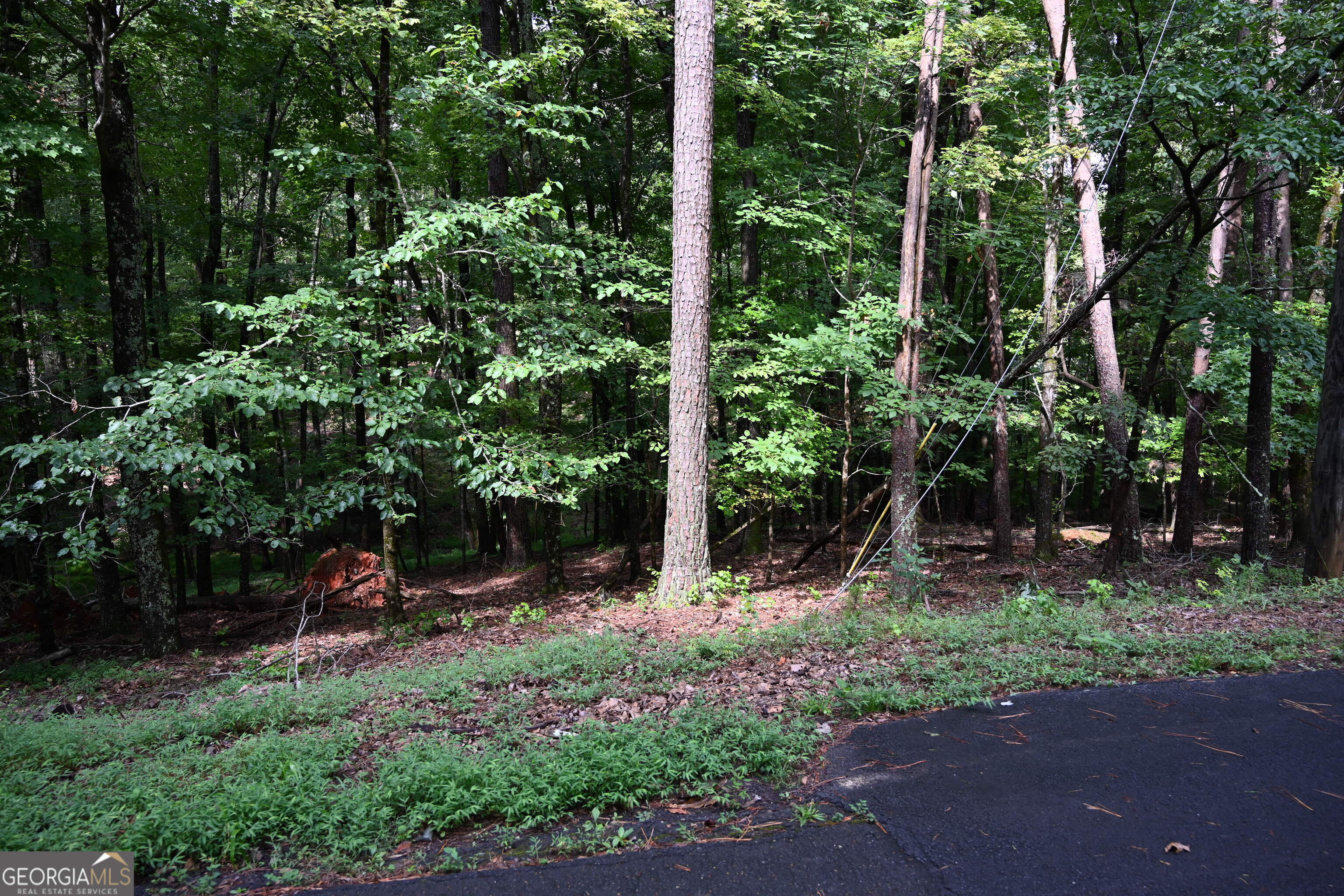 Beautiful homesite with east/west exposure offers abundant natural light, amazing sunsets and a warm inviting atmosphere! This double lot is perfect for a daylight basement and one of the best remaining lots in Bent Tree! The lot is level on the front and slopes gently to the back of the lot. Perfect location within walking distance of the lake and stables. Build your dream home now or plan for retirement. There is no time limit to build after closing. Prior soil test was done in 2006. Bent Tree is a gated community located about an hour north of Atlanta. Bent Tree offers a challenging 18 hole golf course, two swimming pools, indoor/outdoor tennis/pickle ball courts, club house, restaurant, pristine 110-acre lake with boating and fishing opportunities, hiking trails, social clubs and events and an equestrian center. This lot is part of an amazing 3500 acre preserve where life is enjoyable and less stressful!