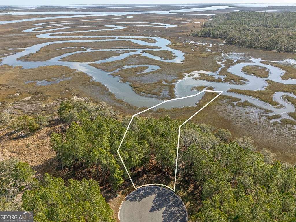 Photo of 121122 Wards Way, Waverly, GA 31565 (MLS # 10706318)