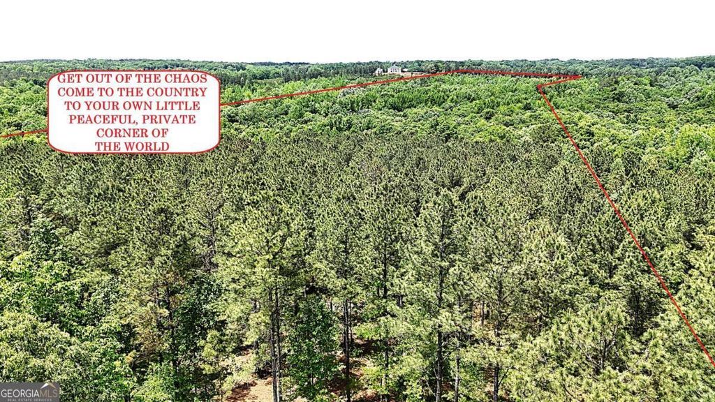 Photo of 1 Wilson Road, Temple, GA 30179 (MLS # 10766142)