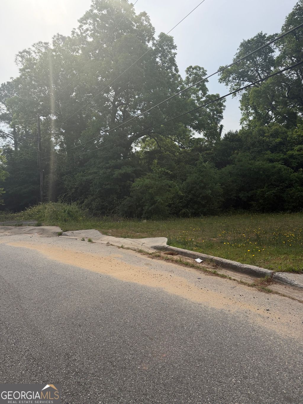 Photo of 1167 Mitchell Street, Macon, GA 31217 (MLS # 10806290)