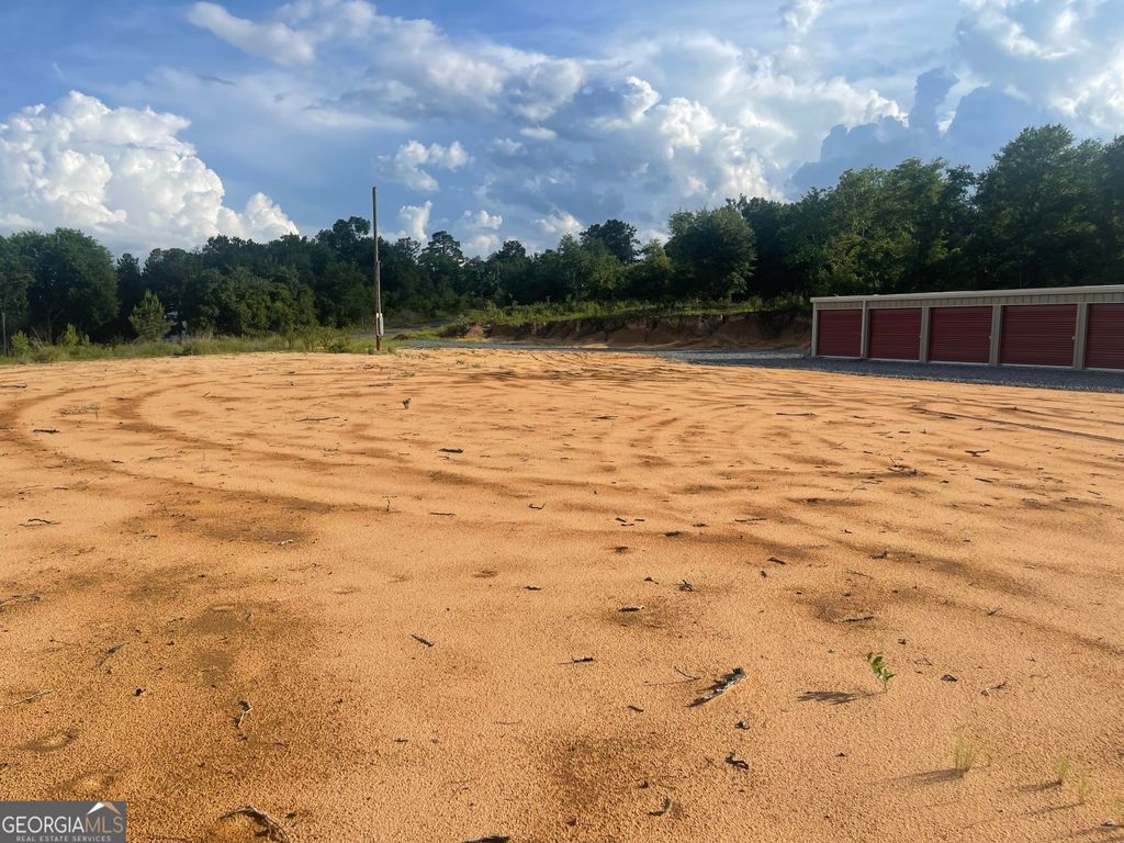 Photo of 27 Americus Highway, Butler, GA 31006 (MLS # 10667178)