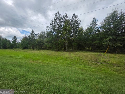 Photo for 3102 Blackshear HWY
