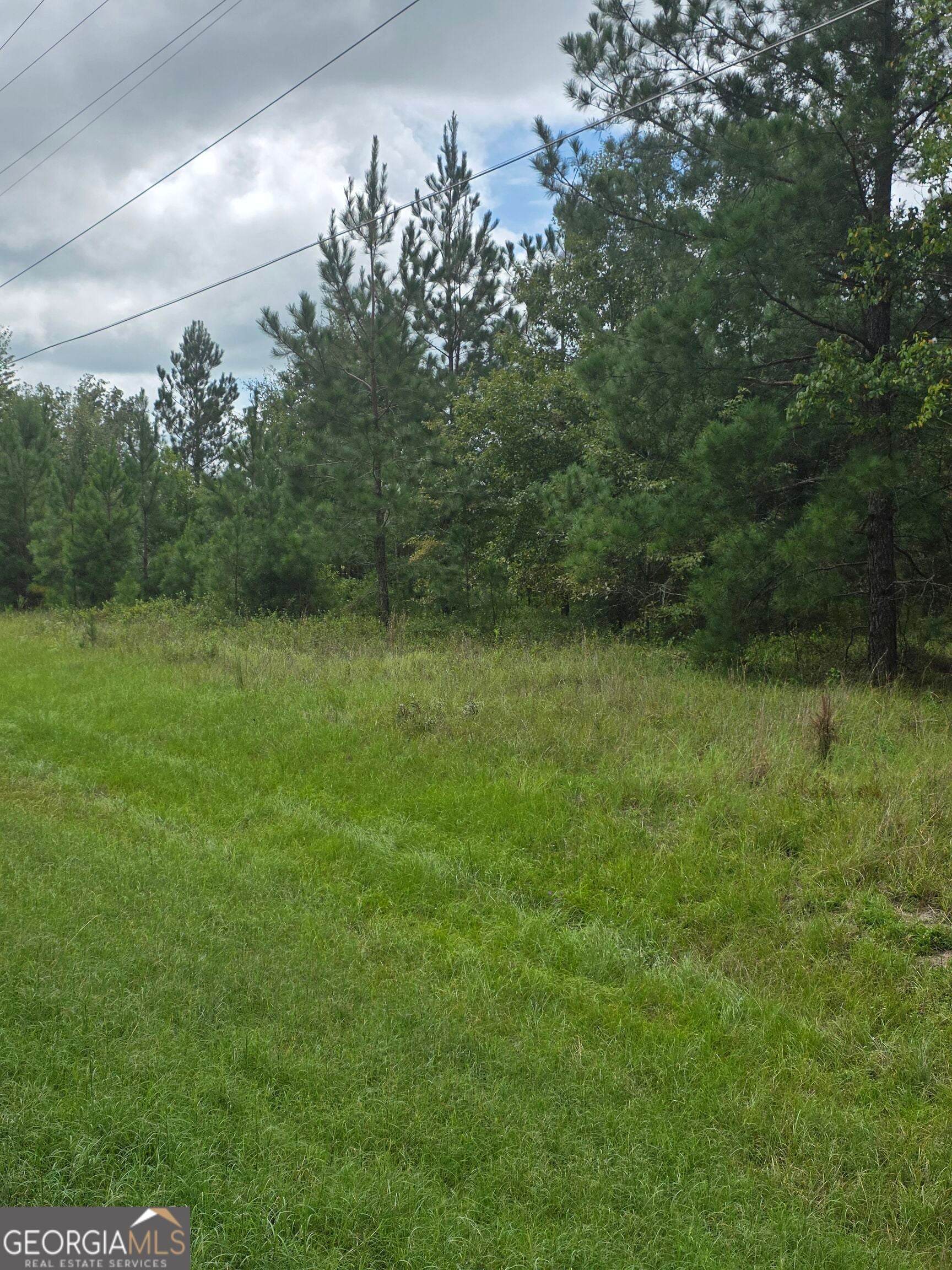 3102 Blackshear HWY