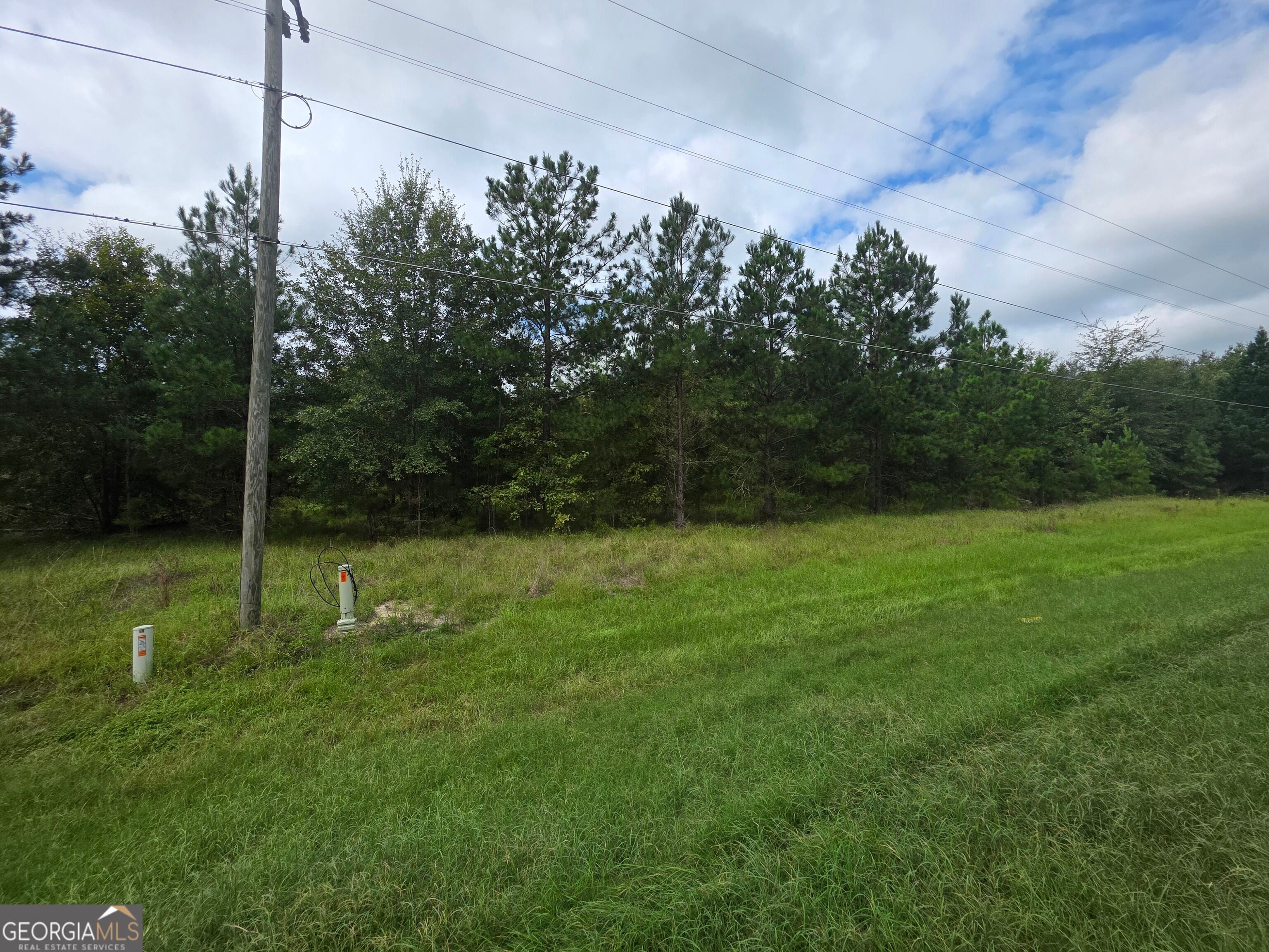 3102 Blackshear HWY