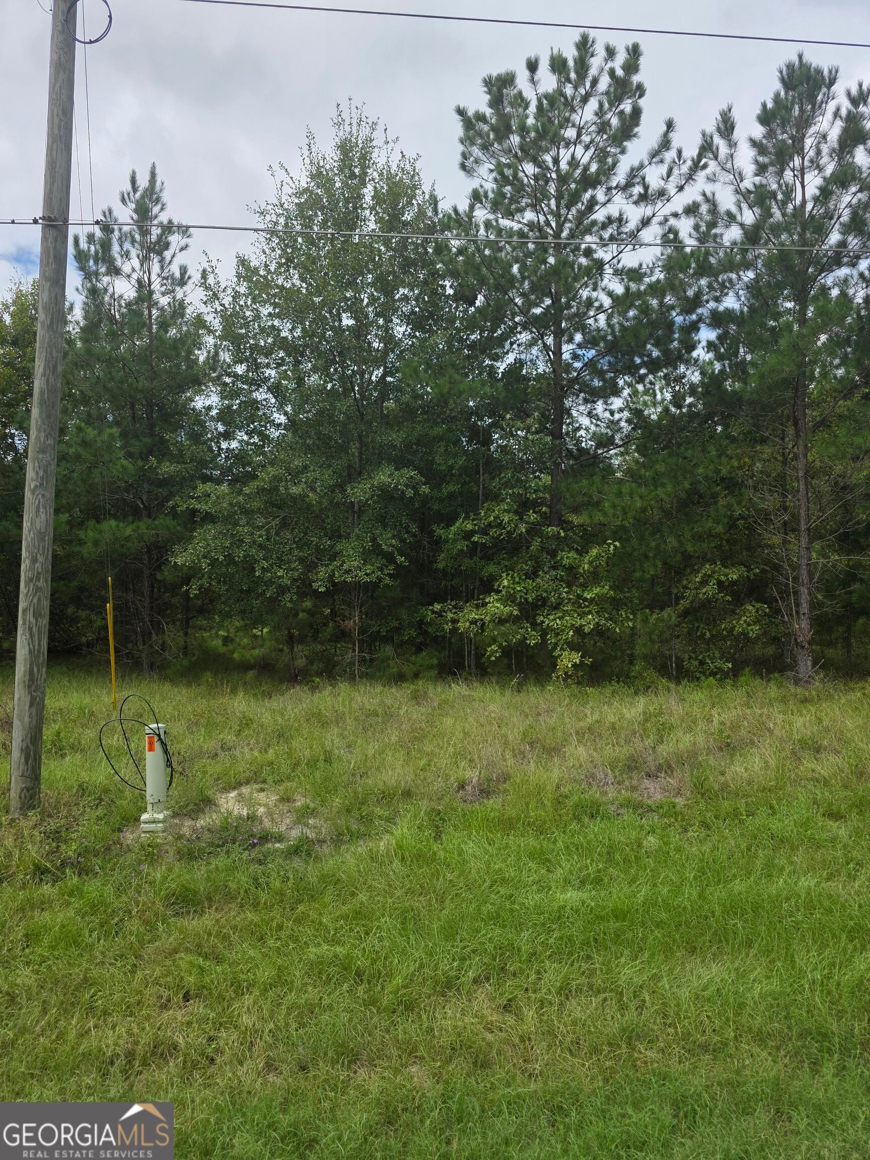 3102 Blackshear HWY
