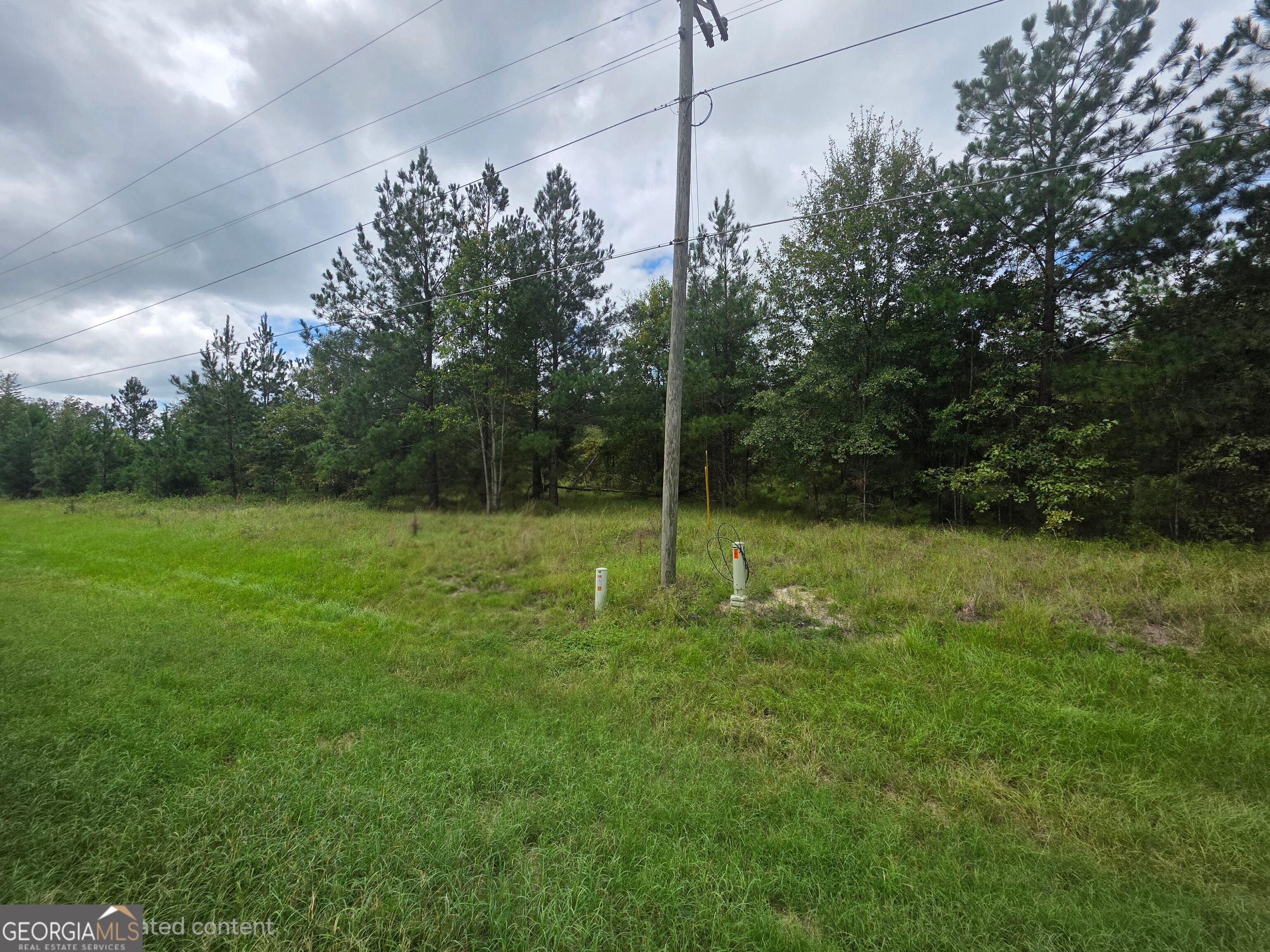 3102 Blackshear HWY