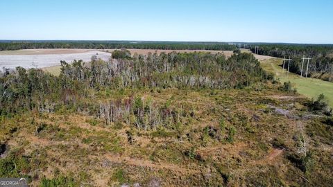 0 Bird Flanders RD Swainsboro GA 30401