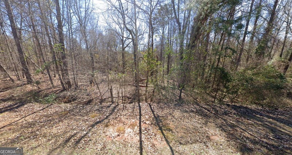 Photo of 1904 State University Drive, Fort Valley, GA 31030 (MLS # 10679849)