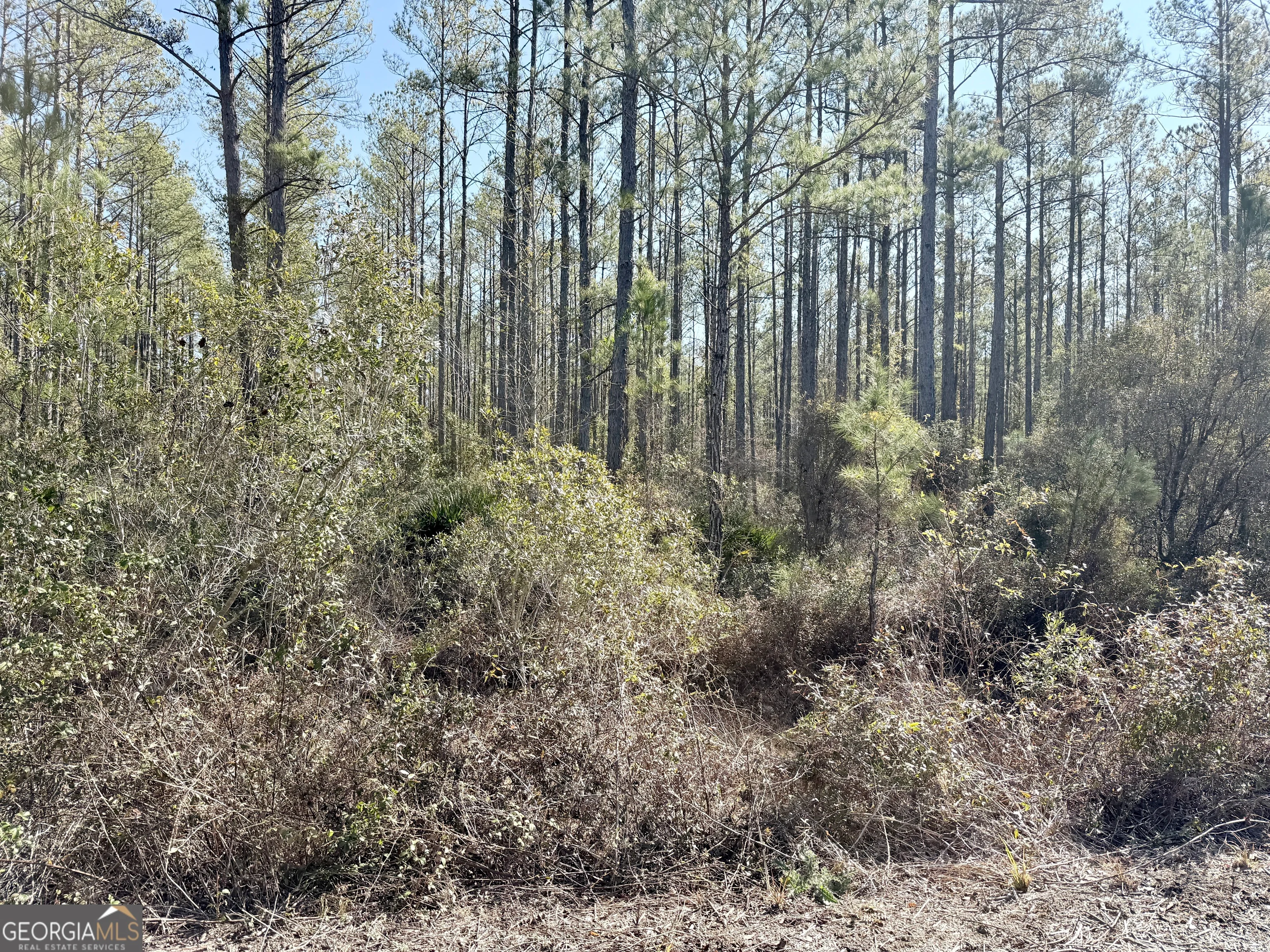 18 Satilla Plantation, Waynesville, GA, 31566