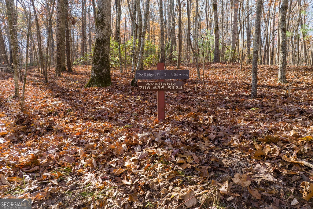 Photo of 7 Joseph Anderson Trail, Ellijay, GA 30536 (MLS # 10852409)