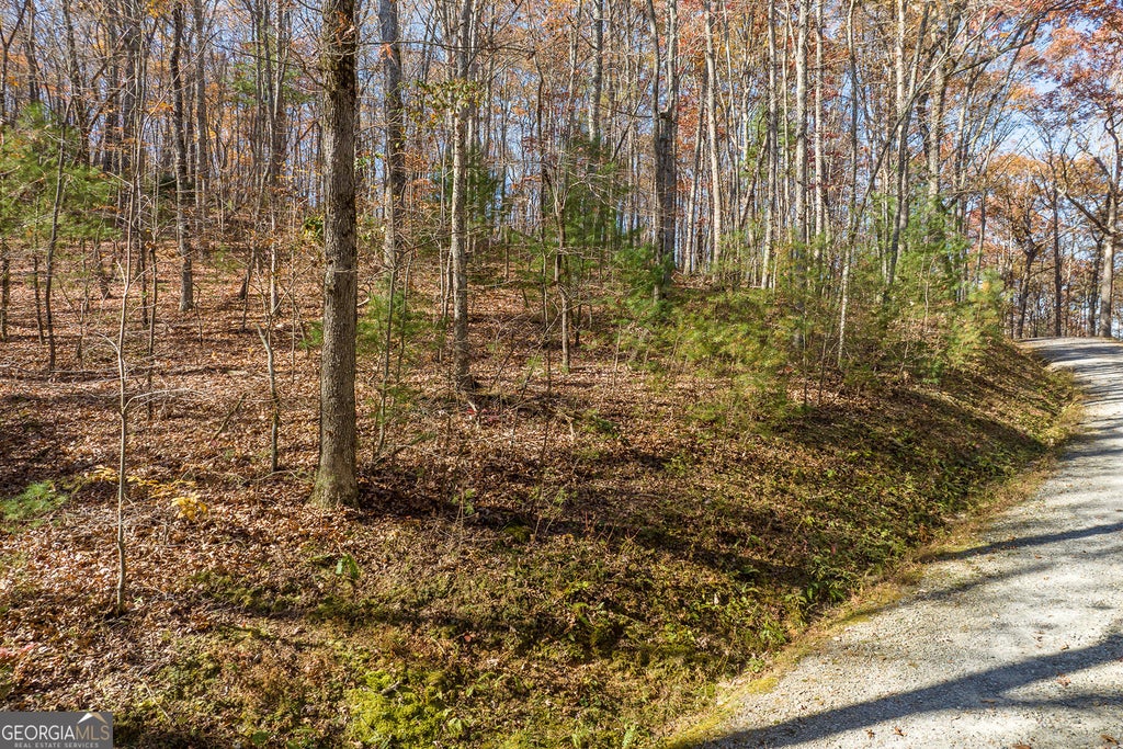 Photo of 7 Joseph Anderson Trail, Ellijay, GA 30536 (MLS # 10852409)