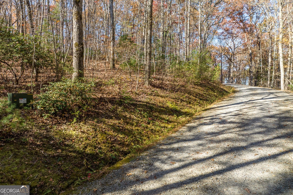 Photo of 7 Joseph Anderson Trail, Ellijay, GA 30536 (MLS # 10852409)
