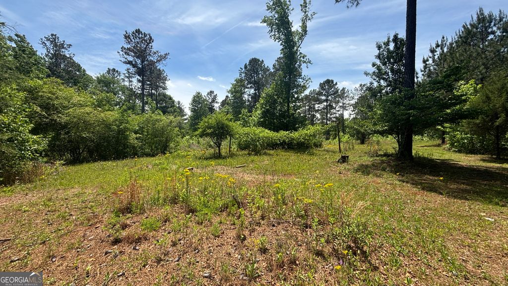 Photo of 537 Zellner Road, Forsyth, GA 31029 (MLS # 10754832)