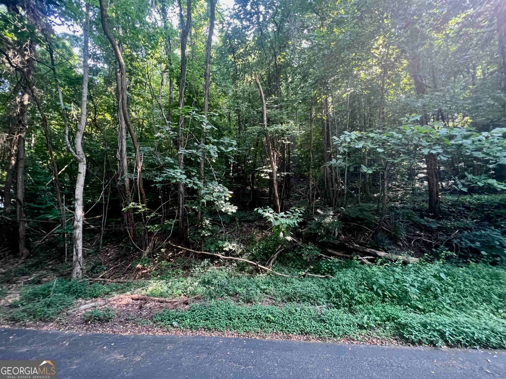Photo of 13 Chalet Drive, Sautee Nacoochee, GA 30571 (MLS # 10849426)