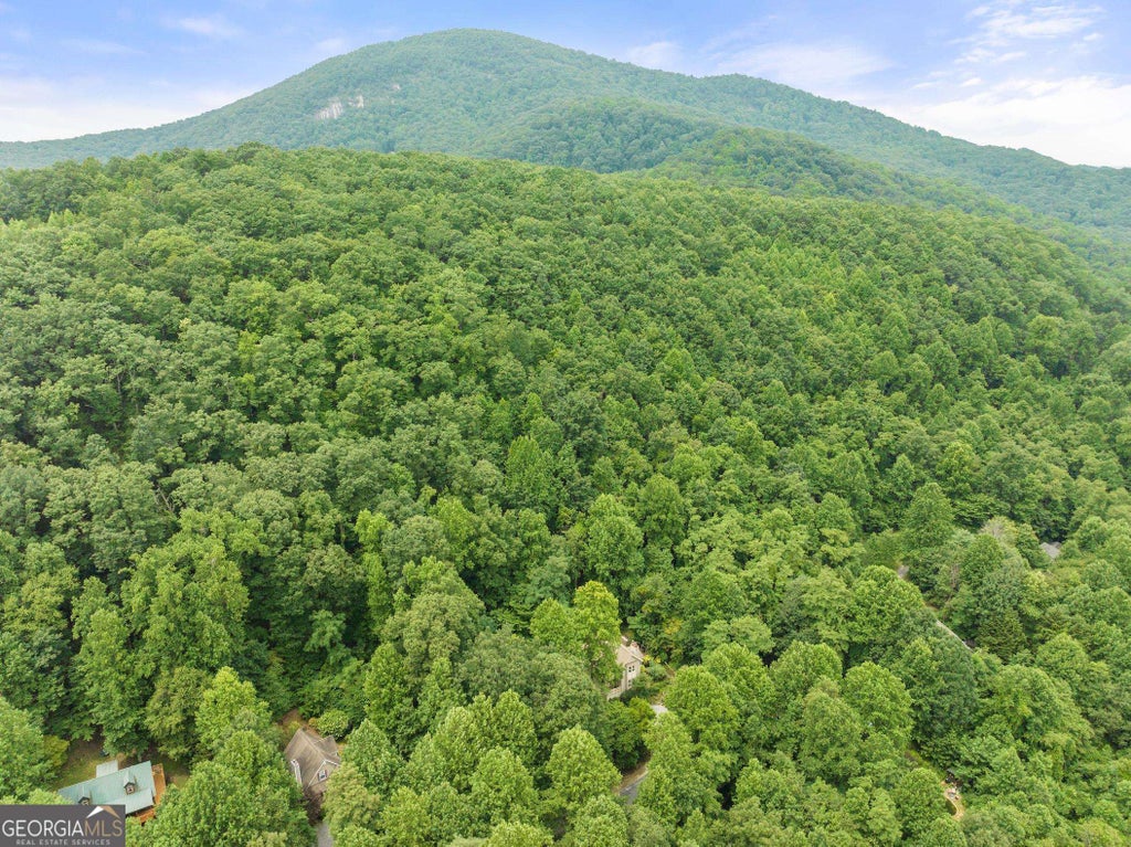 Photo of 13 Chalet Drive, Sautee Nacoochee, GA 30571 (MLS # 10849426)