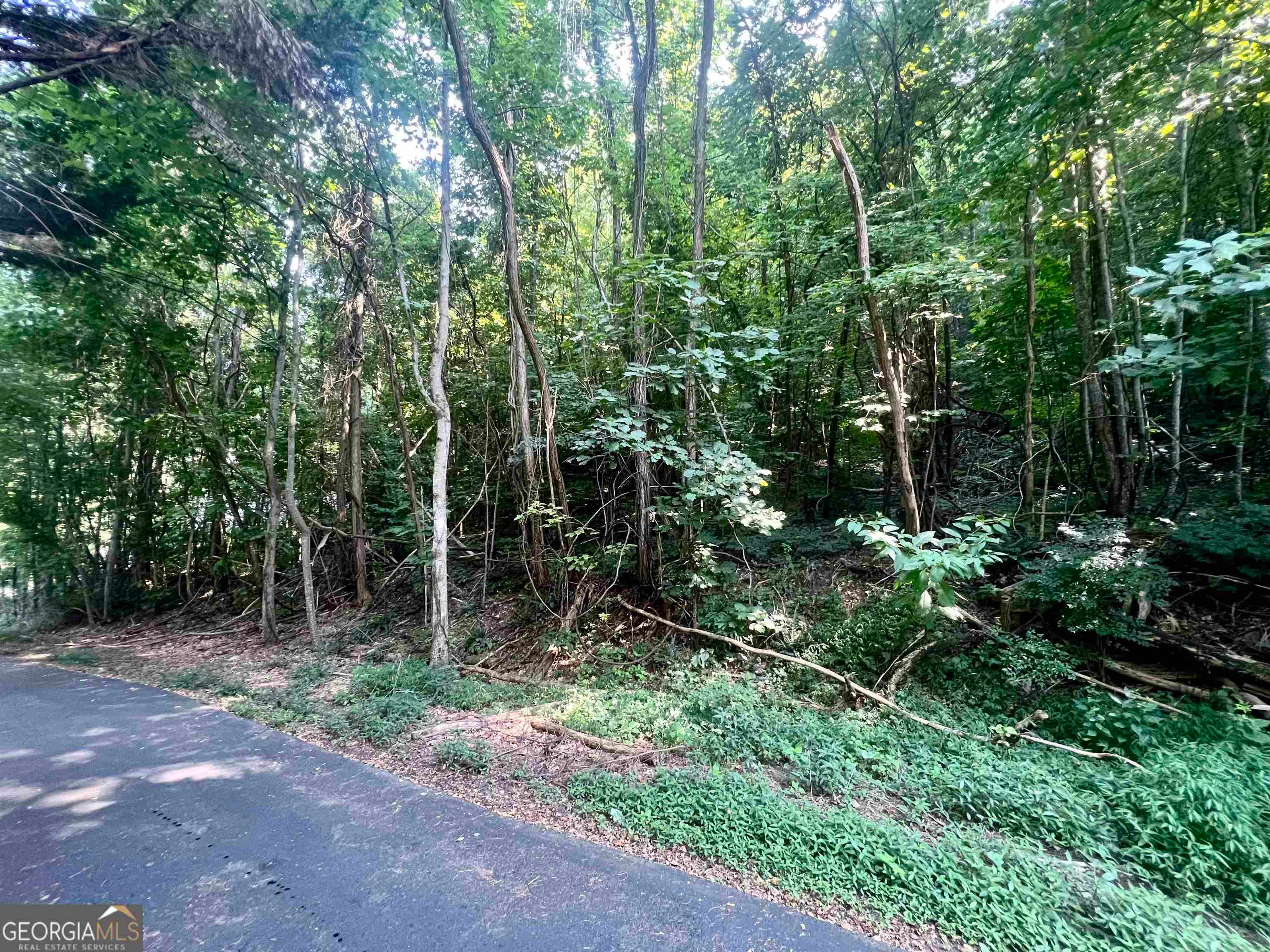 LOT 13 Chalet DR