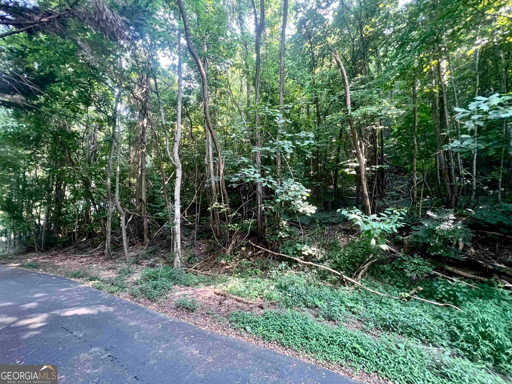 Photo of 13 Chalet Drive, Sautee Nacoochee, GA 30571 (MLS # 10849426)
