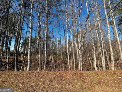 Photo of 2013 Lake Paradise Road, Villa Rica, GA 30180 (MLS # 10822430)