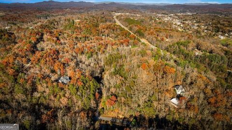 Photo of 597 Bullen Gap Road, Blue Ridge, GA 30513 (MLS # 10772572)