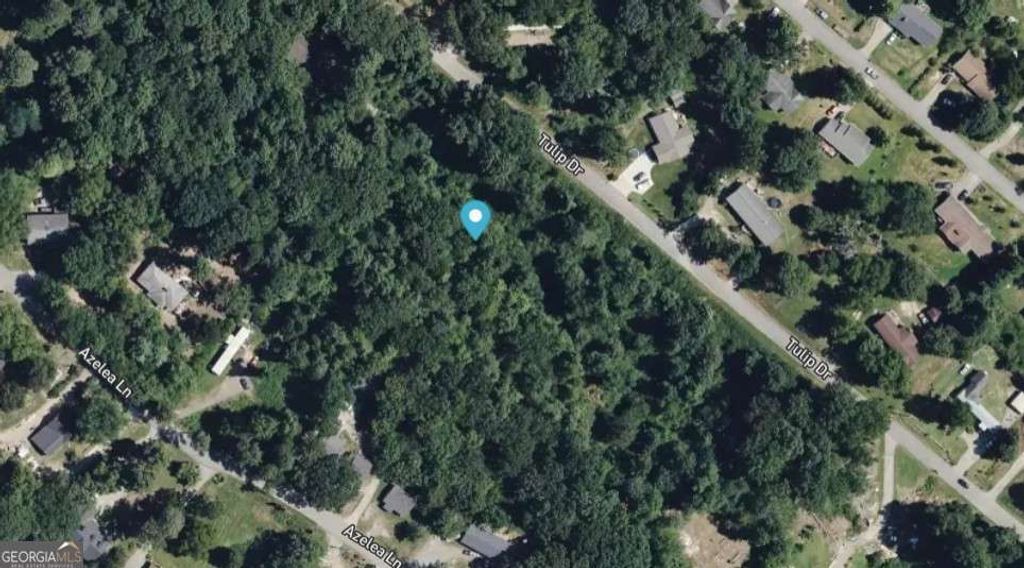 Photo of 1828 Tulip Drive, Gainesville, GA 30507 (MLS # 10678467)