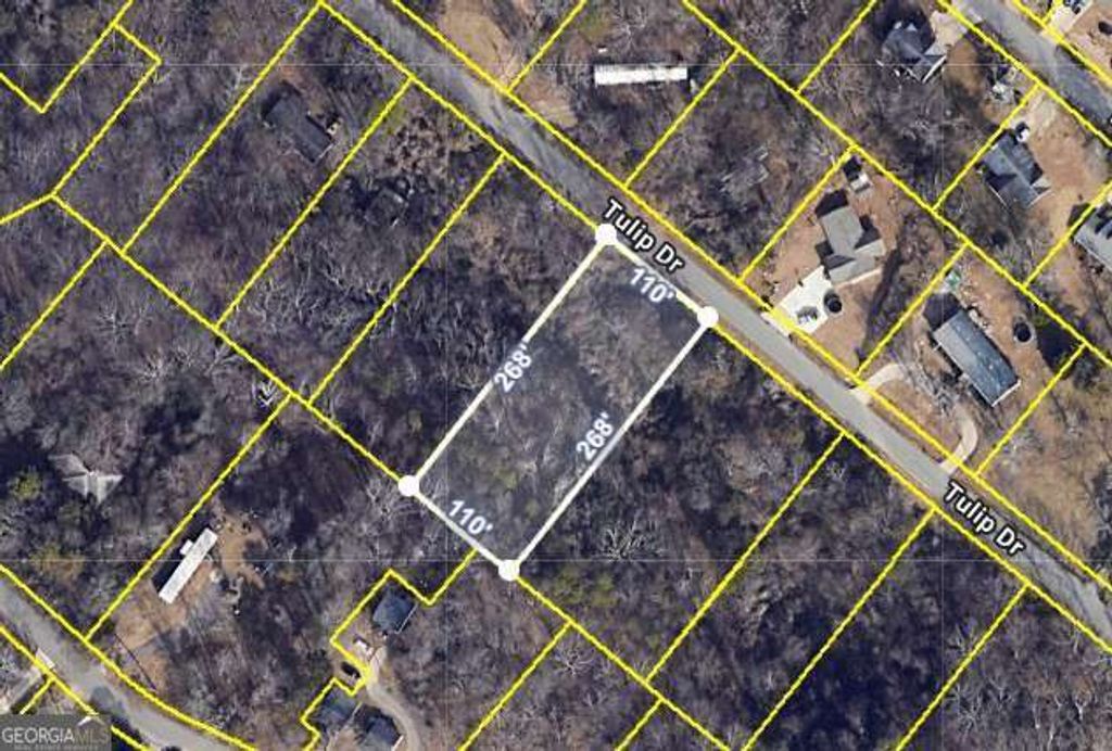 Photo of 1828 Tulip Drive, Gainesville, GA 30507 (MLS # 10678467)