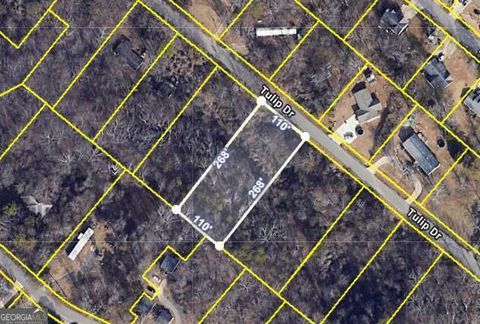 Photo of 1828 Tulip Drive, Gainesville, GA 30507 (MLS # 10678467)