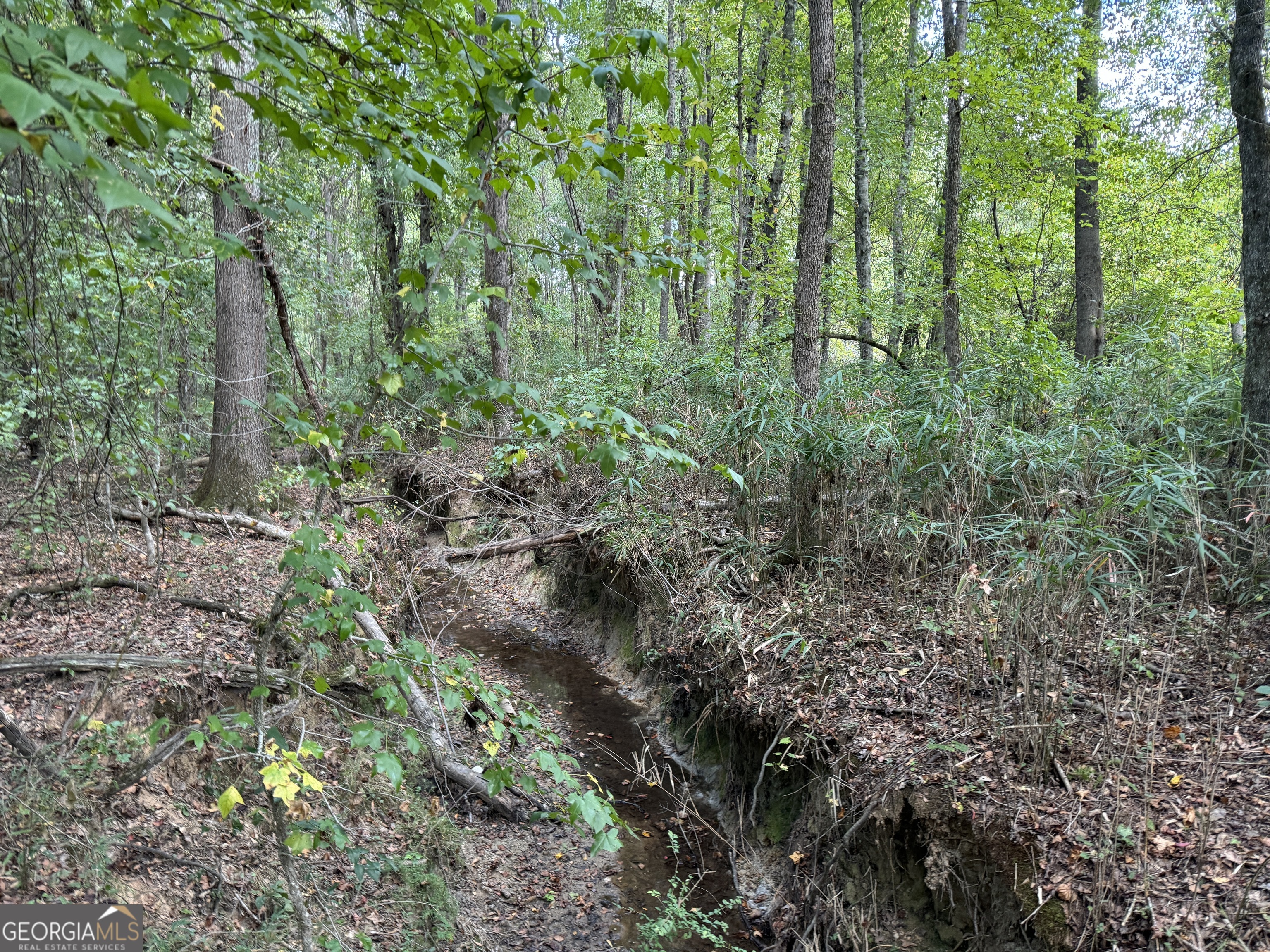 TR 4 15.976 AC Pike RD