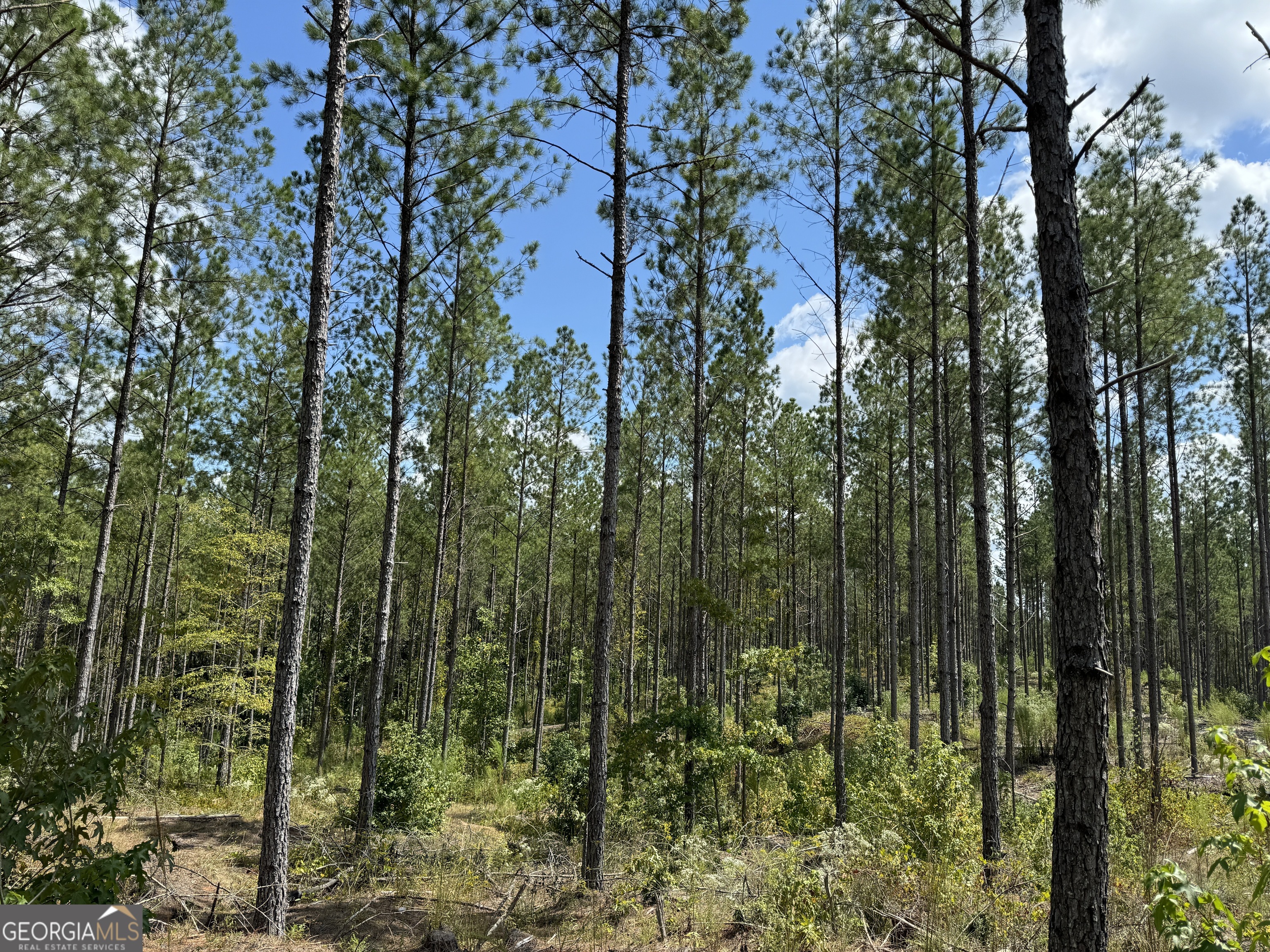 TR 4 15.976 AC Pike RD