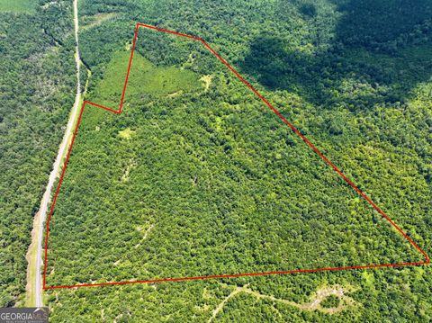 Photo of 0 Liberty Grove Church Road, Wrightsville, GA 31096 (MLS # 10640718)