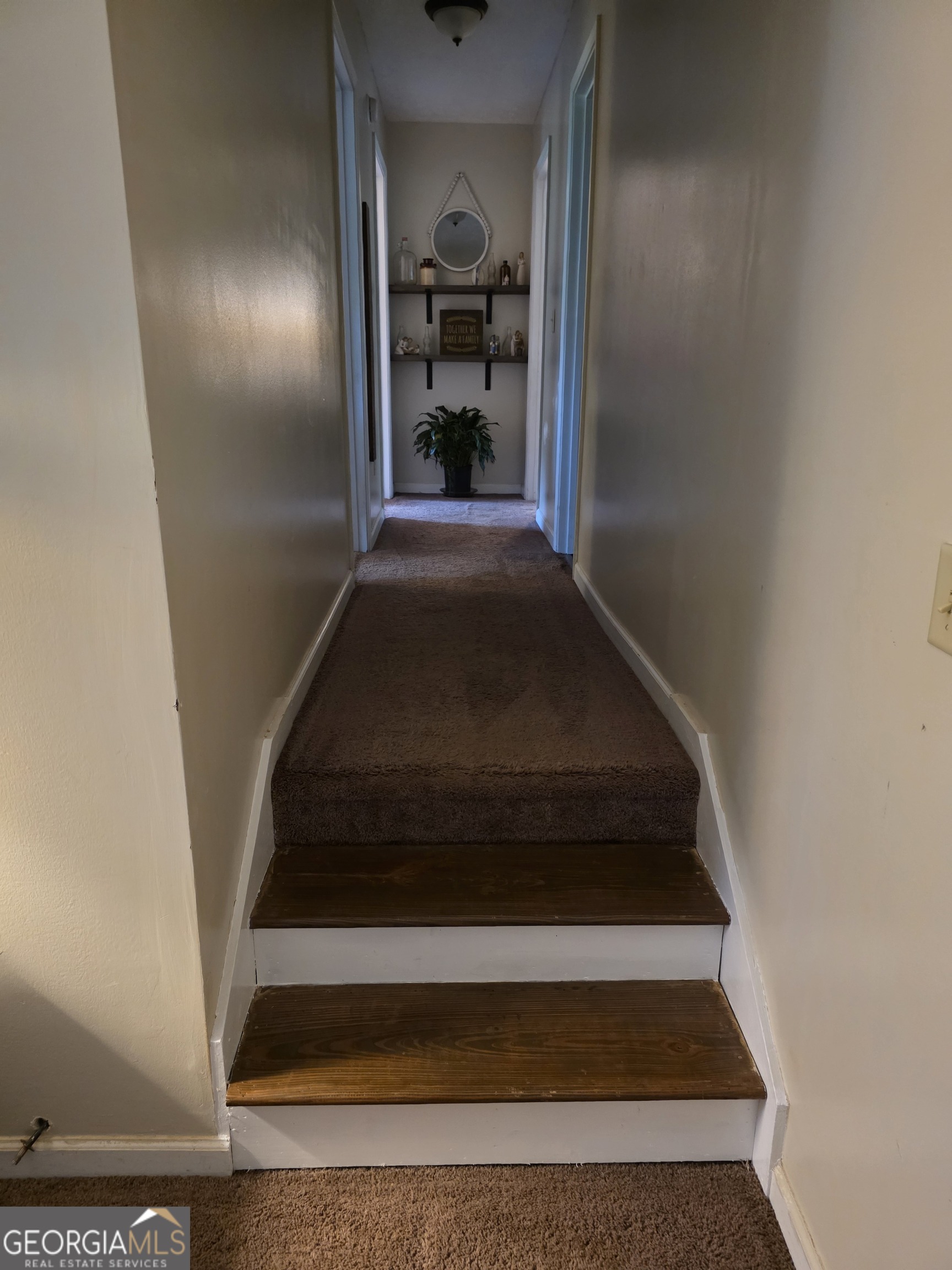 245 Freestone DR