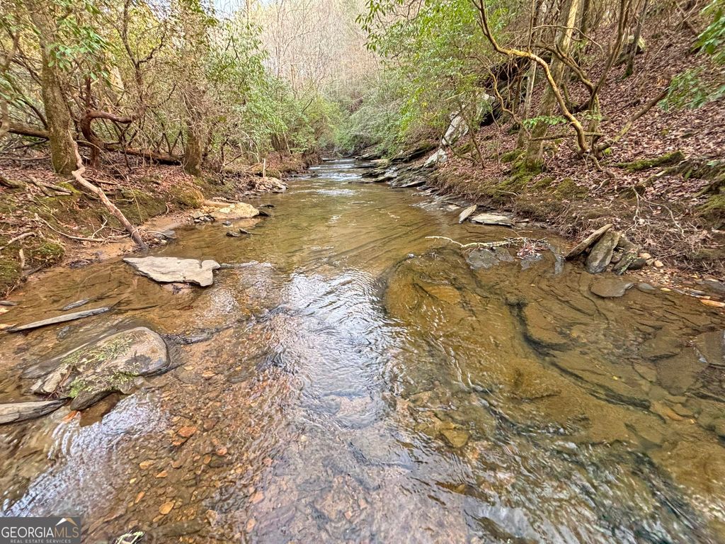 Photo of 5 LoveJoy Lane, Talking Rock, GA 30175 (MLS # 10700131)