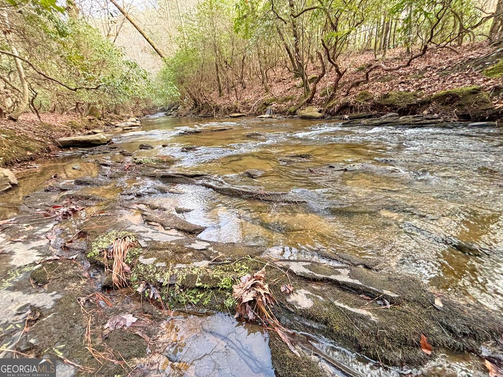 Photo of 5 LoveJoy Lane, Talking Rock, GA 30175 (MLS # 10700131)